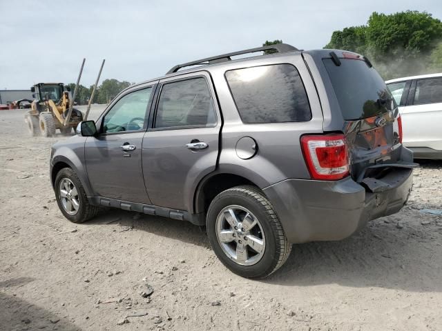 2010 Ford Escape XLT