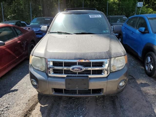 2011 Ford Escape XLT