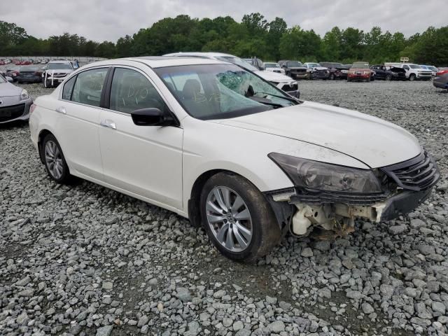 2011 Honda Accord EXL