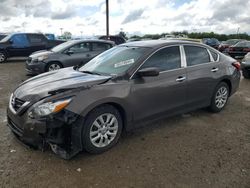 Salvage cars for sale at Indianapolis, IN auction: 2016 Nissan Altima 2.5