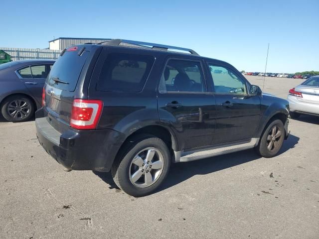 2010 Ford Escape Limited