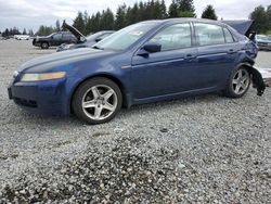 Salvage cars for sale at Graham, WA auction: 2006 Acura 3.2TL