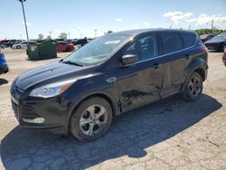 Salvage cars for sale at auction: 2014 Ford Escape SE