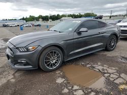 Salvage cars for sale at Pennsburg, PA auction: 2016 Ford Mustang