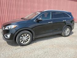 Salvage cars for sale from Copart Ontario Auction, ON: 2016 KIA Sorento LX