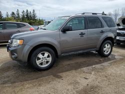 Salvage cars for sale from Copart Ontario Auction, ON: 2011 Ford Escape XLT