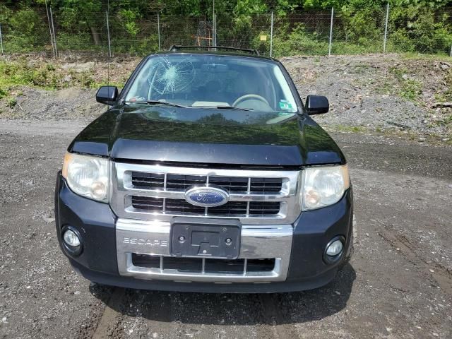 2009 Ford Escape Hybrid