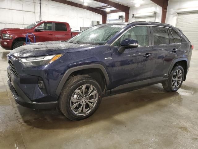 2024 Toyota Rav4 XLE Premium