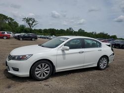 Salvage cars for sale at Des Moines, IA auction: 2014 Honda Accord EXL