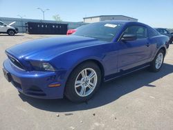 Salvage cars for sale at auction: 2014 Ford Mustang