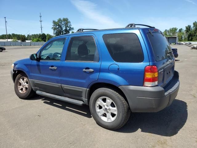 2007 Ford Escape XLT