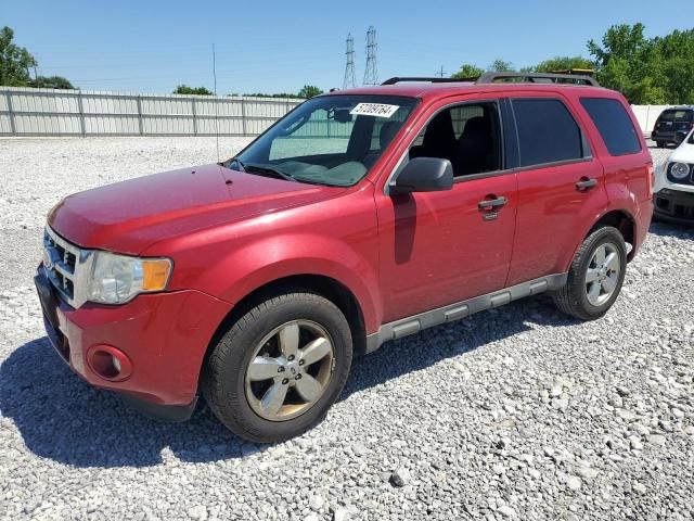 2010 Ford Escape XLT