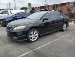 Salvage cars for sale from Copart Wilmington, CA: 2008 Toyota Camry LE