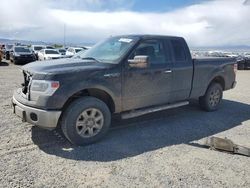 Salvage cars for sale at Helena, MT auction: 2014 Ford F150 Super Cab