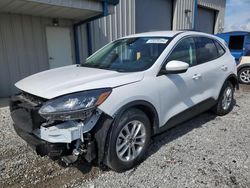 Salvage cars for sale from Copart Earlington, KY: 2021 Ford Escape SE