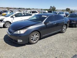 Salvage cars for sale from Copart Antelope, CA: 2011 Lexus ES 350