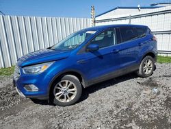 Salvage cars for sale from Copart Albany, NY: 2017 Ford Escape SE
