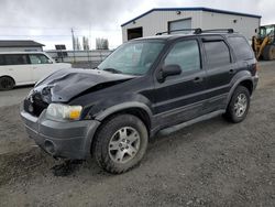 Salvage cars for sale from Copart Airway Heights, WA: 2005 Ford Escape XLT