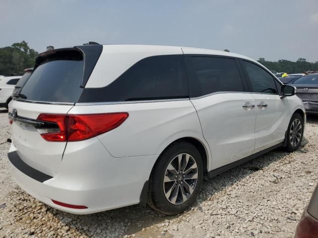 2023 Honda Odyssey EXL