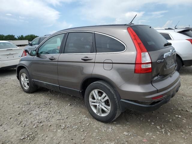 2010 Honda CR-V EXL