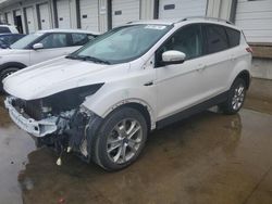 Salvage cars for sale at Louisville, KY auction: 2014 Ford Escape Titanium