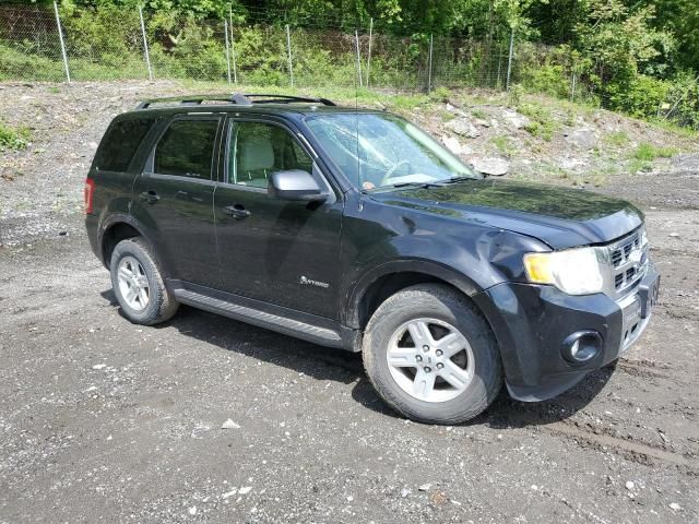 2009 Ford Escape Hybrid