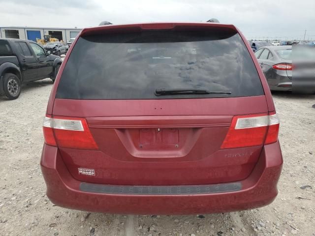 2005 Honda Odyssey EXL