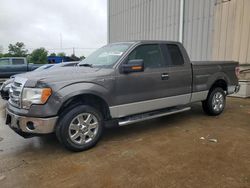Salvage cars for sale from Copart Lawrenceburg, KY: 2013 Ford F150 Super Cab