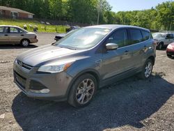 Ford Escape SEL salvage cars for sale: 2013 Ford Escape SEL