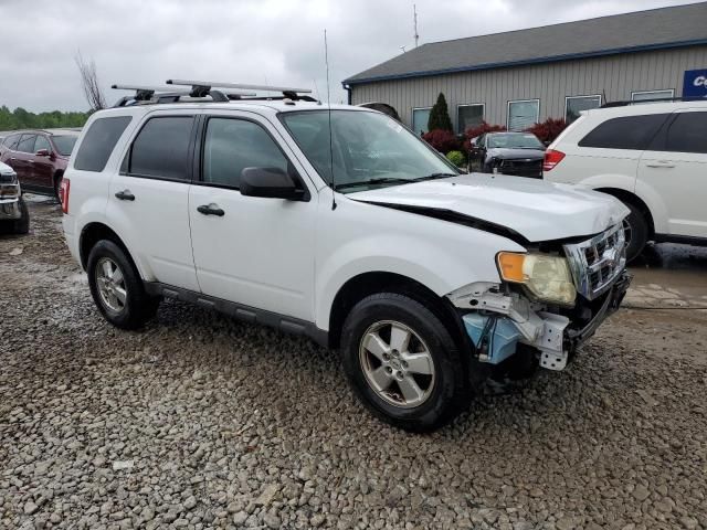 2010 Ford Escape XLT