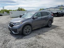 Salvage cars for sale at Albany, NY auction: 2020 Honda CR-V EX