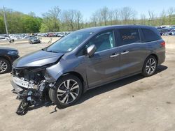 Salvage cars for sale at Marlboro, NY auction: 2023 Honda Odyssey Touring