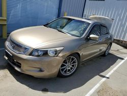Salvage cars for sale at Vallejo, CA auction: 2008 Honda Accord EXL