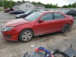 Salvage cars for sale at York Haven, PA auction: 2010 Ford Fusion SE