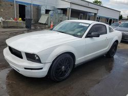 Salvage cars for sale at New Britain, CT auction: 2005 Ford Mustang