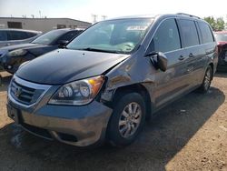 Salvage cars for sale at Elgin, IL auction: 2010 Honda Odyssey EXL