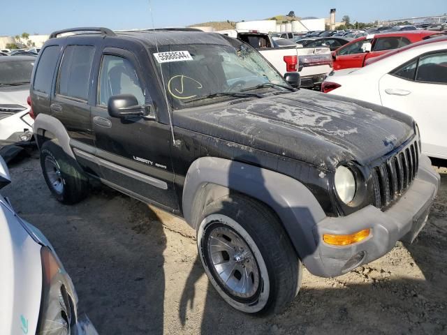 2003 Jeep Liberty Sport