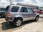 2007 Ford Escape XLT