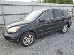 Salvage cars for sale at Gastonia, NC auction: 2011 Honda CR-V EX