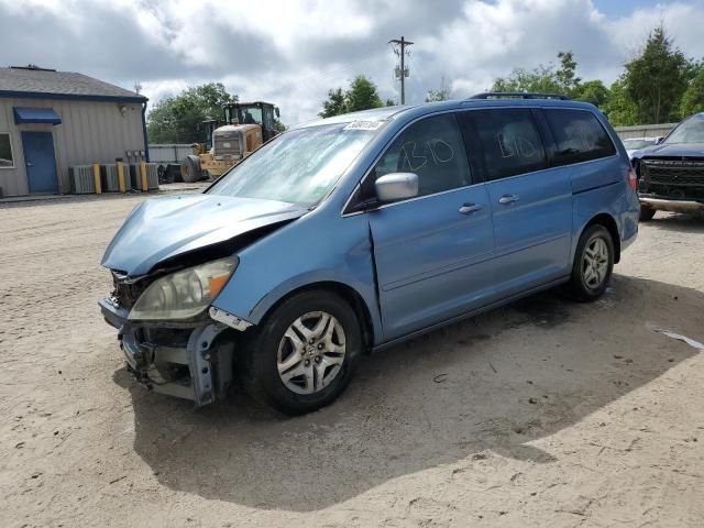 2005 Honda Odyssey EXL