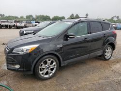 Buy Salvage Cars For Sale now at auction: 2014 Ford Escape Titanium