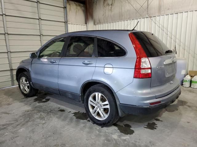 2010 Honda CR-V EXL