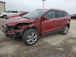 Salvage cars for sale at Temple, TX auction: 2016 Ford Escape Titanium