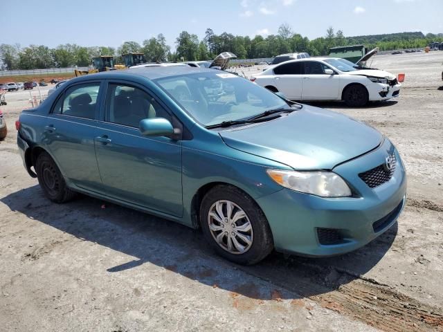 2010 Toyota Corolla Base