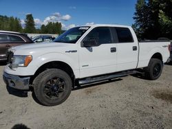 Salvage cars for sale at Arlington, WA auction: 2012 Ford F150 Supercrew