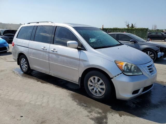 2010 Honda Odyssey EXL