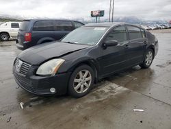 Salvage cars for sale from Copart Farr West, UT: 2004 Nissan Maxima SE