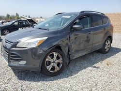 Salvage cars for sale at Mentone, CA auction: 2016 Ford Escape SE