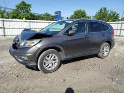 Salvage cars for sale at Walton, KY auction: 2016 Honda CR-V EXL