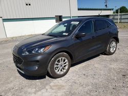 Salvage cars for sale at Leroy, NY auction: 2020 Ford Escape SE